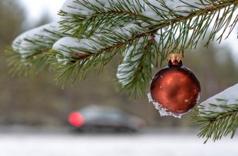 Weihnachtskugel im Garten