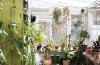 Einen Warmwintergarten kann man das ganze Jahr über benutzen