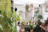 Technik im Wintergarten: Was ist notwendig?