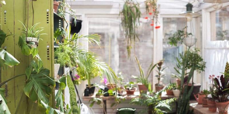 Technik im Wintergarten: Was ist notwendig?