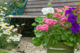 Gartenbank mit Pflanzkübel