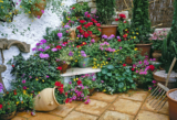 Den Garten mediterran gestalten