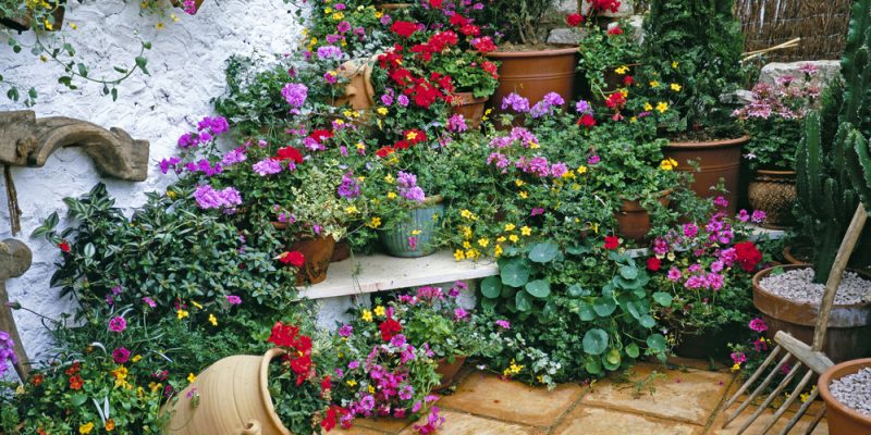 Den Garten mediterran gestalten