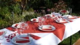 Große Gartenparty feiern – mit der richtigen Ausstattung kein Problem